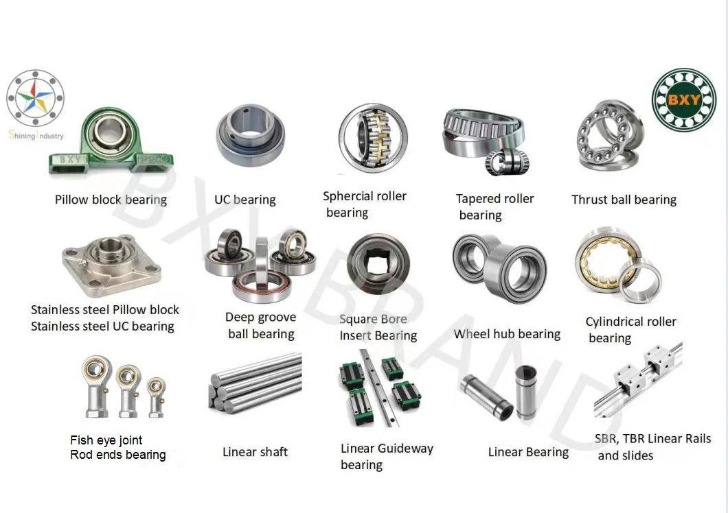 Carb Bearing Toroidal Roller Bearing C5020 C5020V